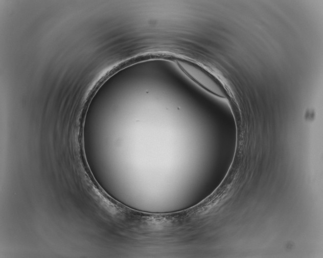 X0000090970799200708161835