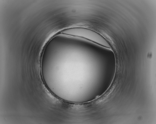 X0000090970800200708161835