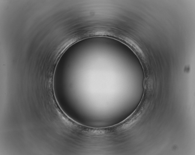 X0000090970801200708161834