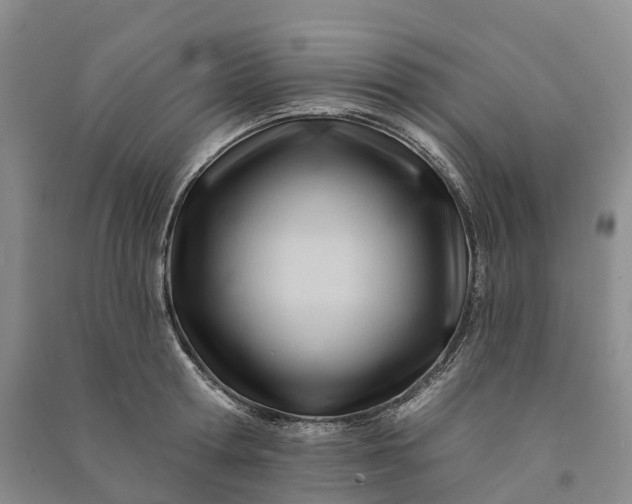 X0000090970802200708161834