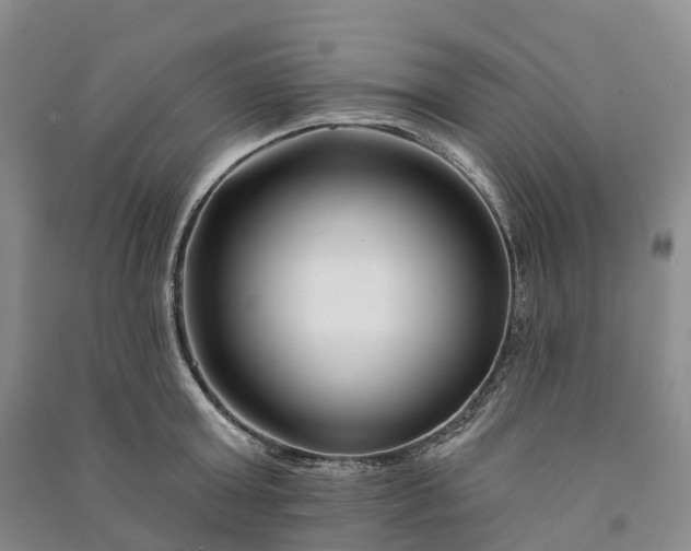 X0000090970803200708161834