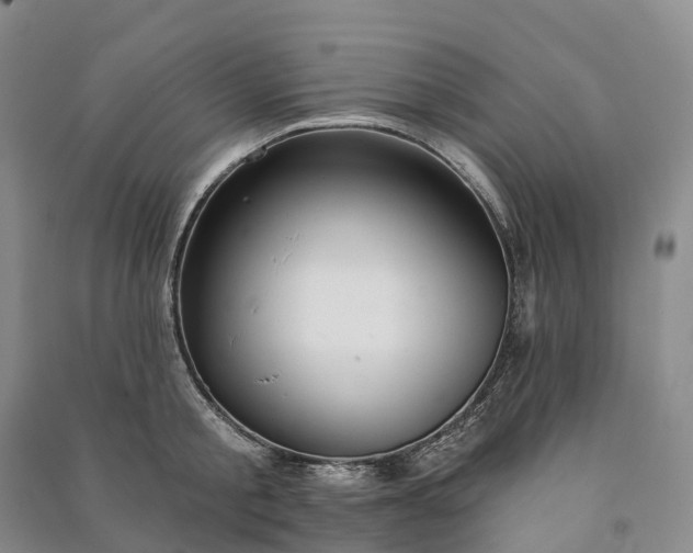 X0000090970805200708161834