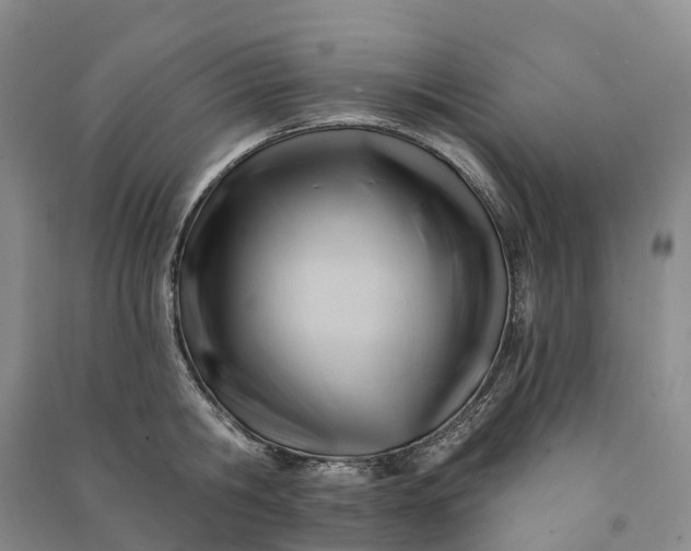 X0000090970806200708161834