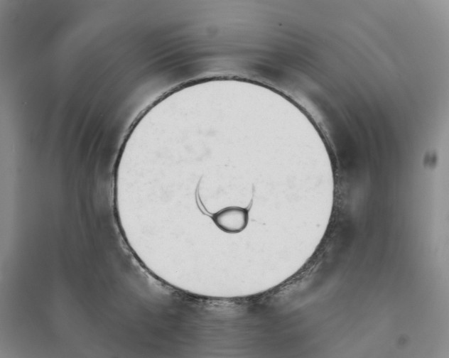 X0000090970807200708161834