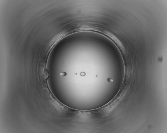 X0000090970809200708161834