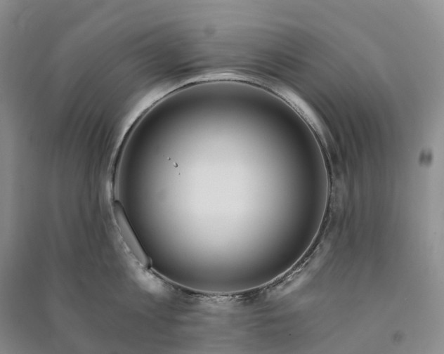 X0000090970813200708161834