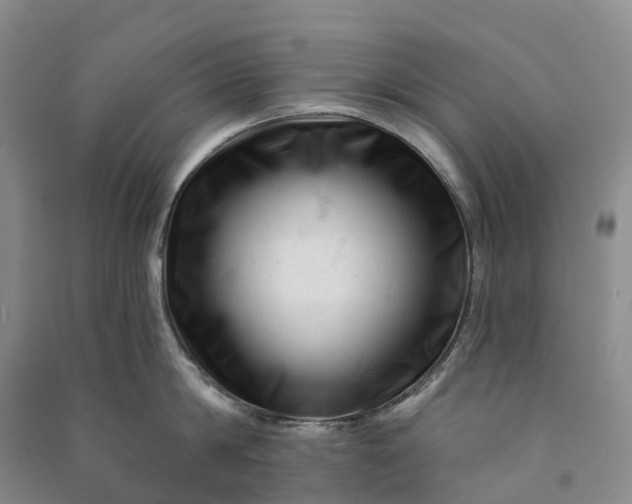 X0000090970814200708161834