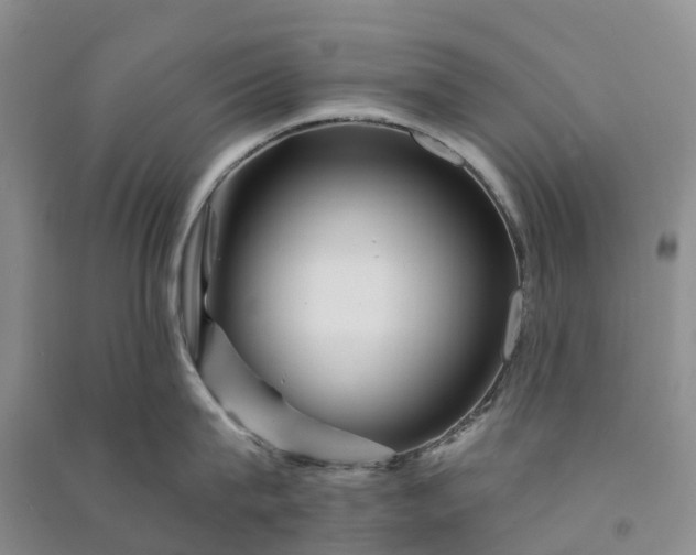 X0000090970815200708161834