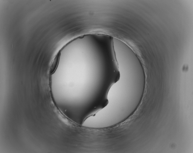 X0000090970816200708161834