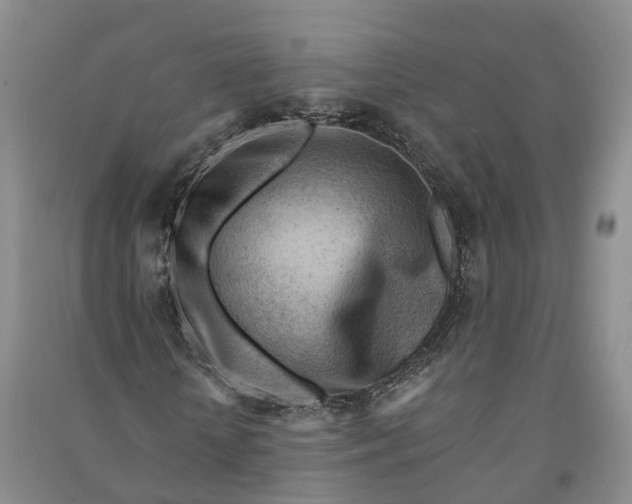 X0000090970818200708161834