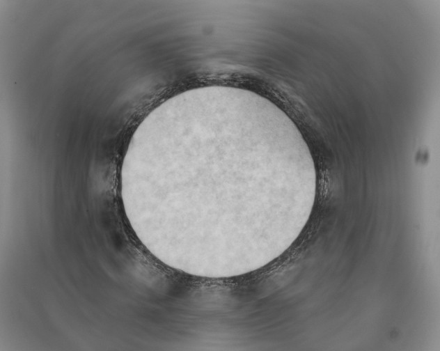 X0000090970820200708161834