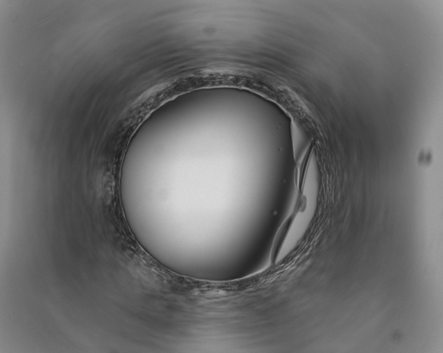 X0000090970821200708161834