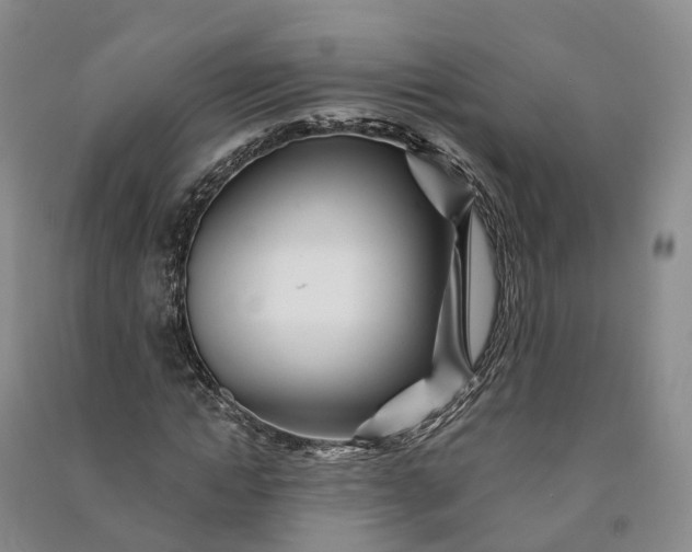 X0000090970822200708161834