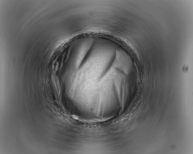 X0000090970823200708161834