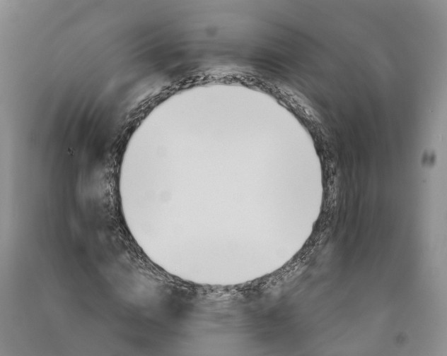 X0000090970824200708161834