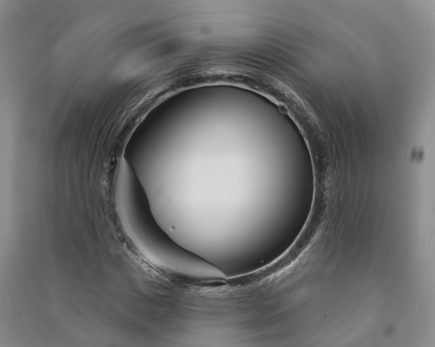 X0000090970825200708161834