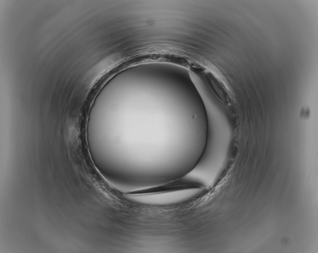 X0000090970826200708161834