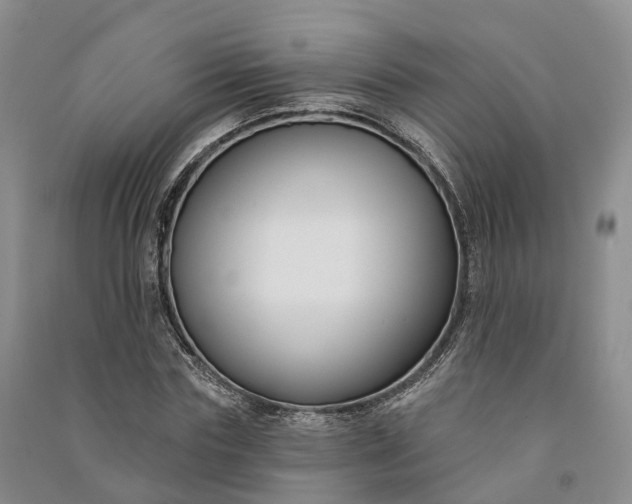 X0000090970827200708161834