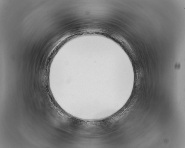 X0000090970828200708161834