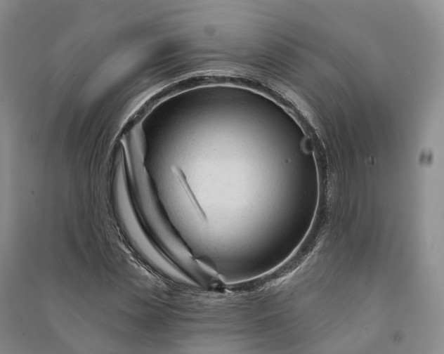 X0000090970829200708161834