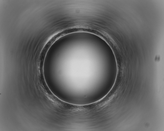 X0000090970830200708161834