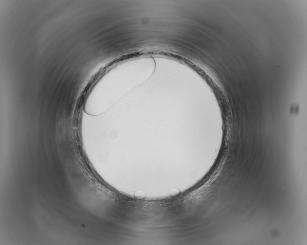 X0000090970832200708161834