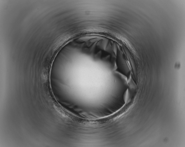 X0000090970833200708161834