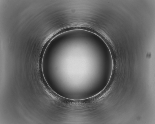 X0000090970834200708161834