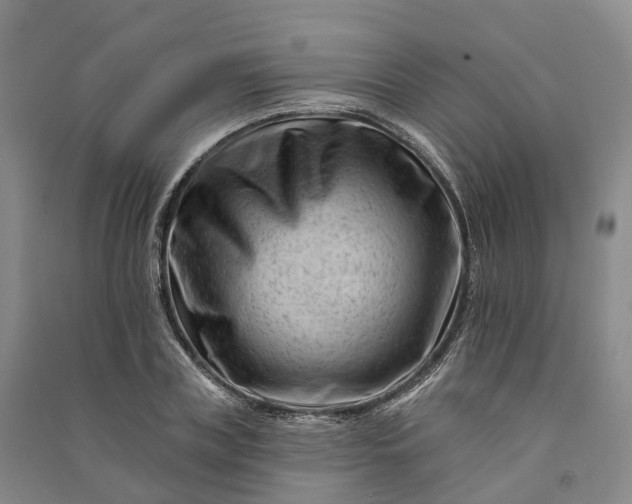 X0000090970835200708161834