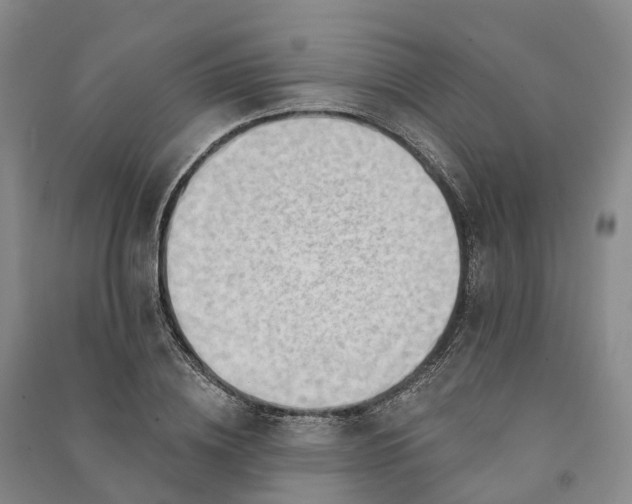 X0000090970836200708161834