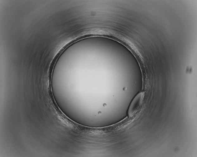 X0000090970837200708161834