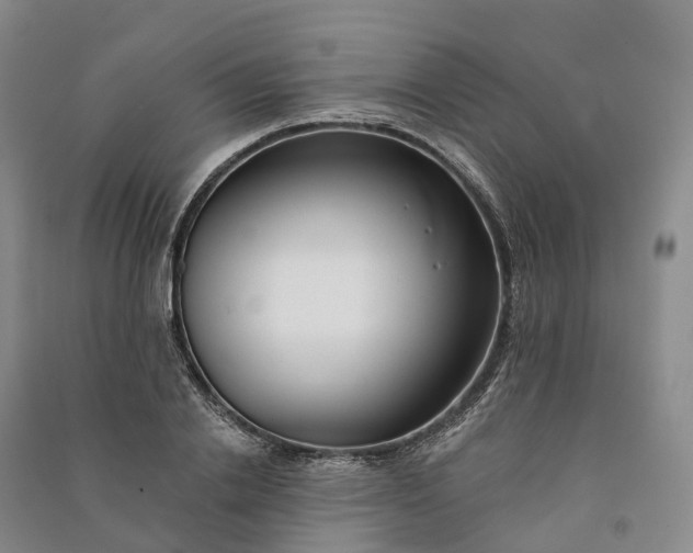 X0000090970838200708161834