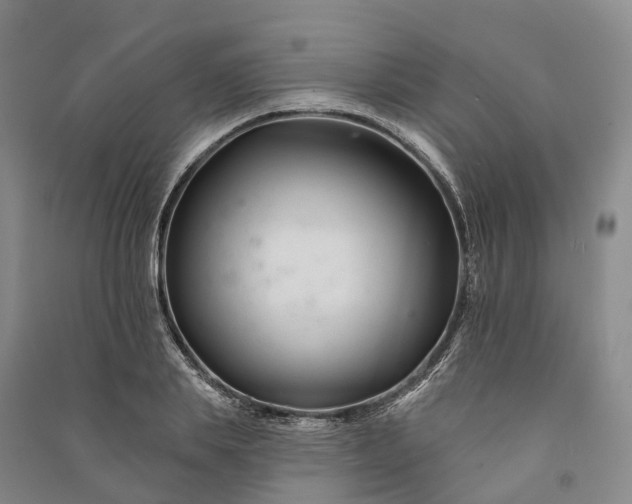 X0000090970839200708161834