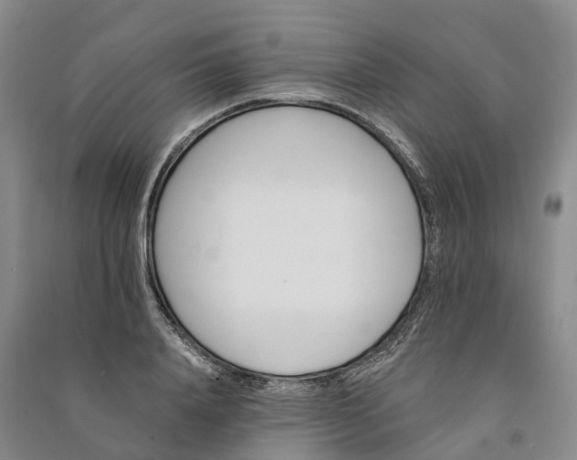 X0000090970840200708161834