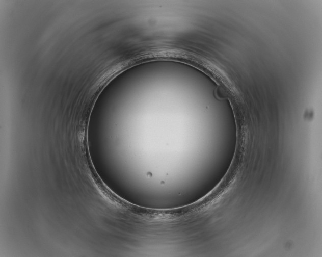 X0000090970841200708161834