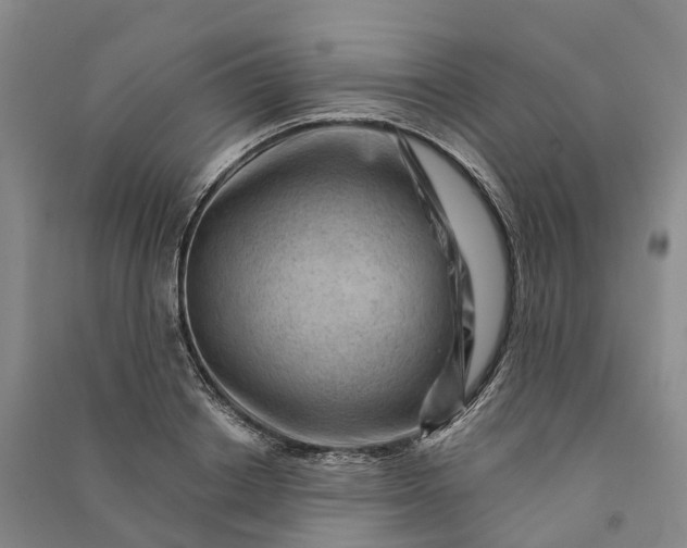 X0000090970842200708161834