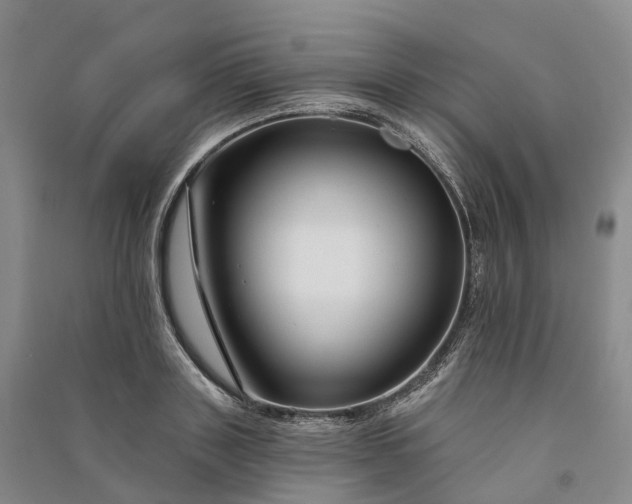 X0000090970843200708161834