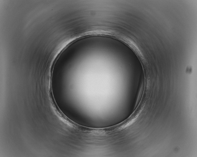 X0000090970844200708161834