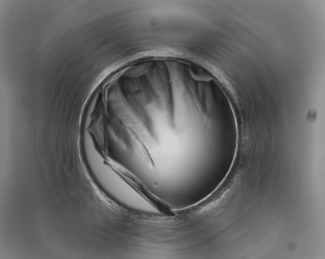 X0000090970845200708161834