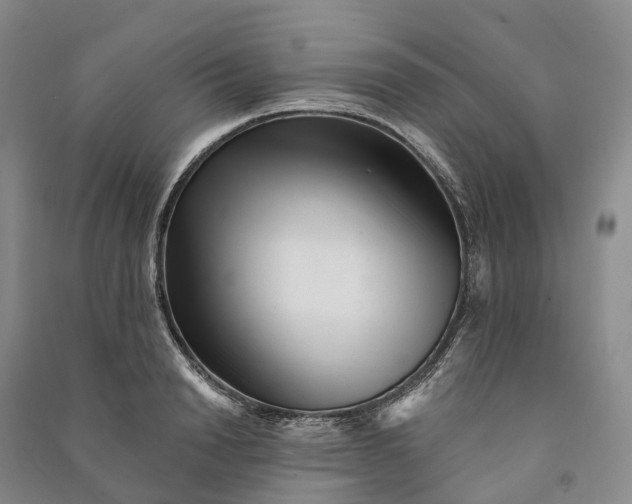 X0000090970846200708161834