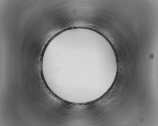 X0000090970848200708161834