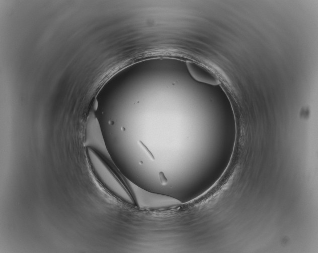 X0000090970849200708161834