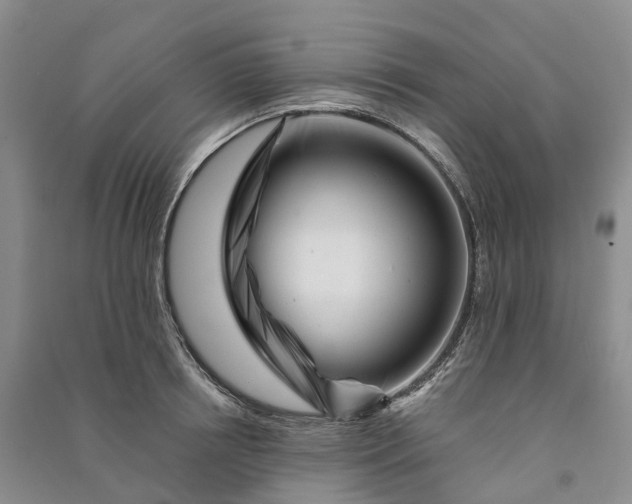 X0000090970850200708161834