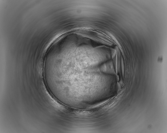 X0000090970851200708161834