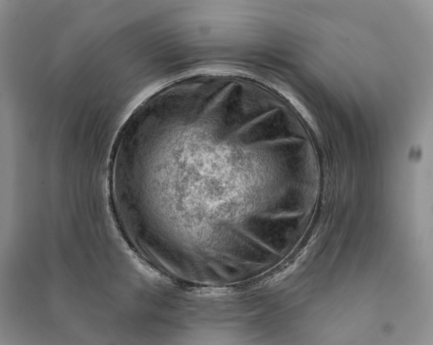 X0000090970853200708161834