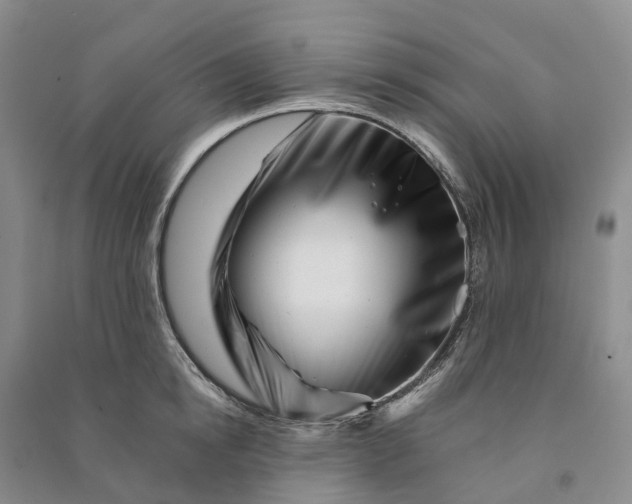 X0000090970854200708161834