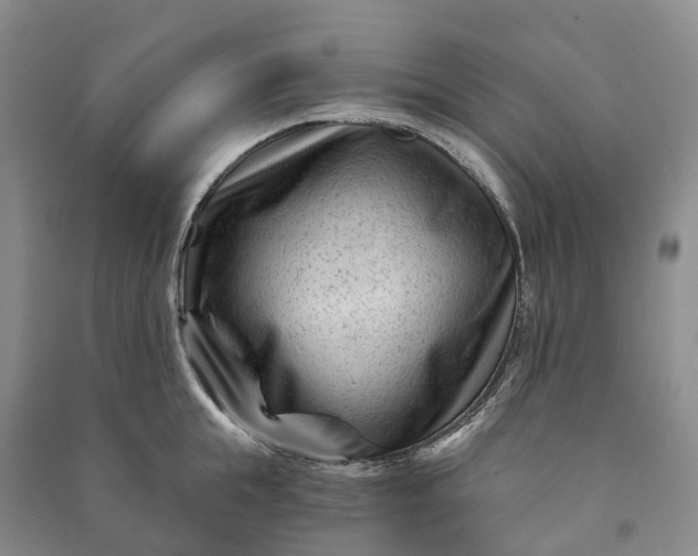 X0000090970855200708161834