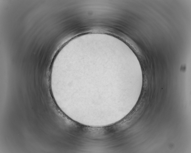 X0000090970856200708161834