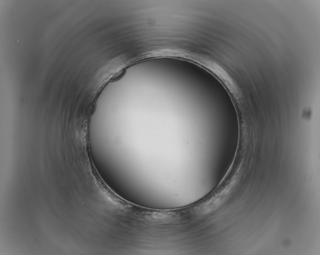 X0000090970857200708161834