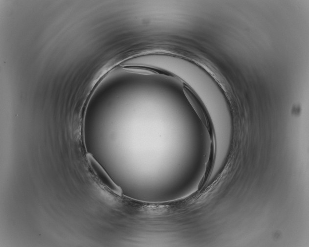 X0000090970858200708161834